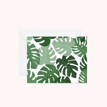 Monstera Leaves